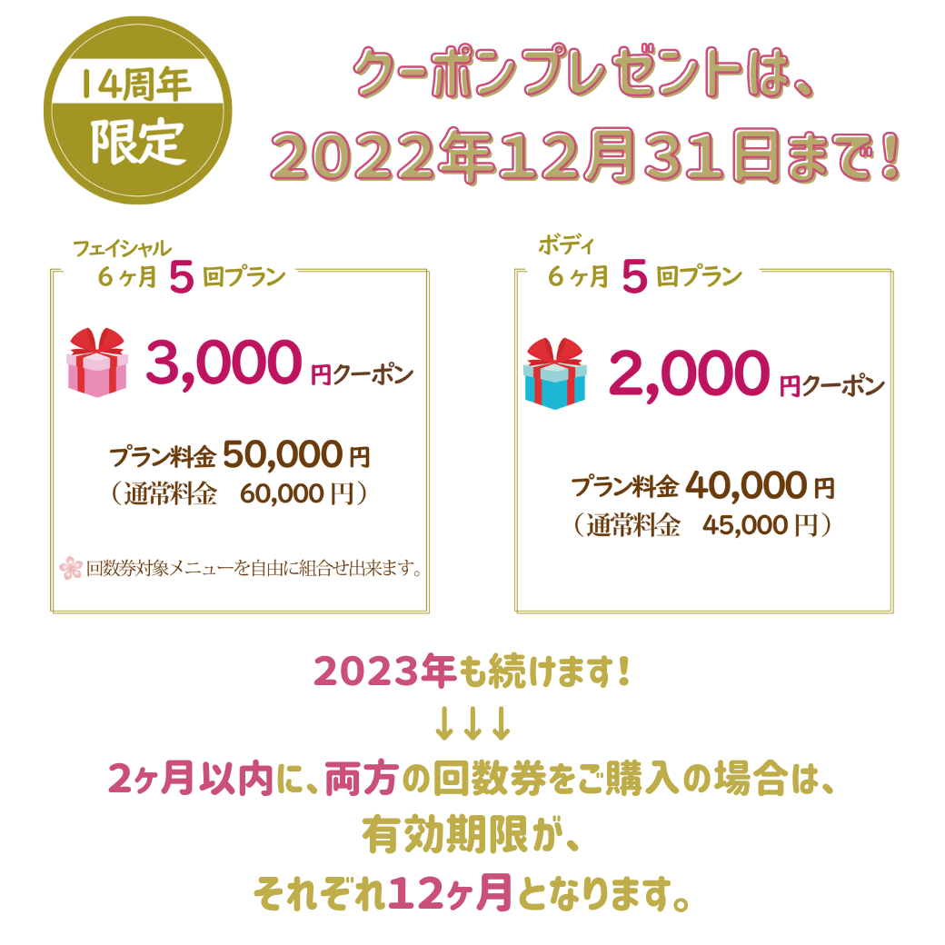 フェイシャル回数券 おくれ 12回分
